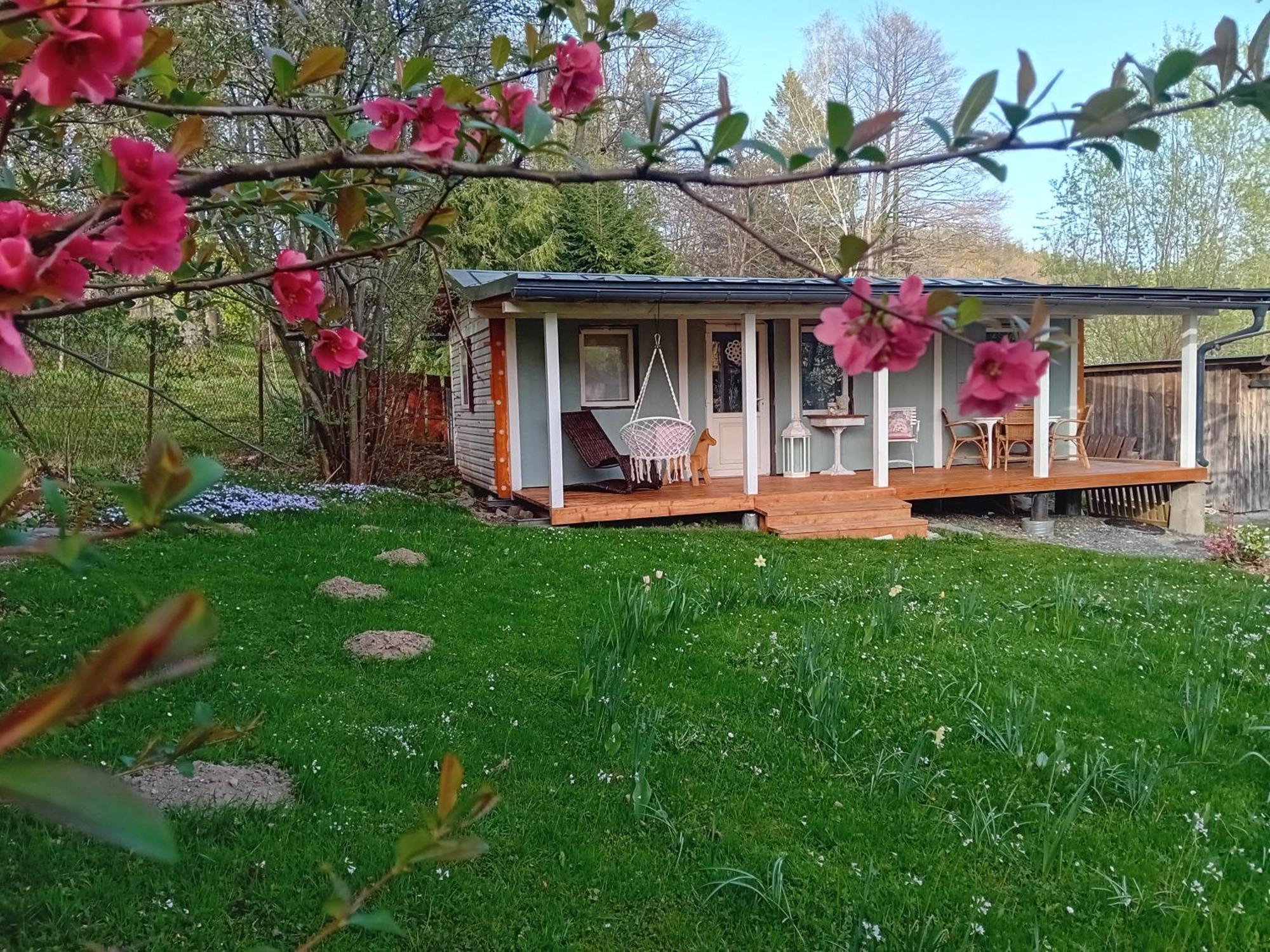 Apartmany Villa Magnolie Lipová-lázně Eksteriør bilde